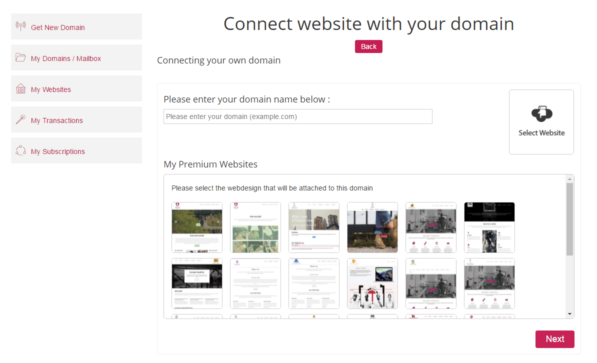 How can I point a domain I already own to my website on DesignMantic?